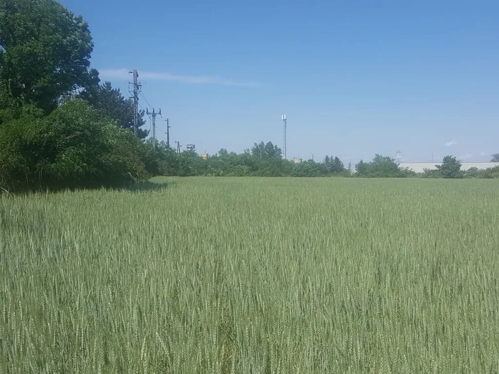 Immobilie kaufen in Korneuburg – 10 433 m², € 2.607.500 – Bild 6 von 16