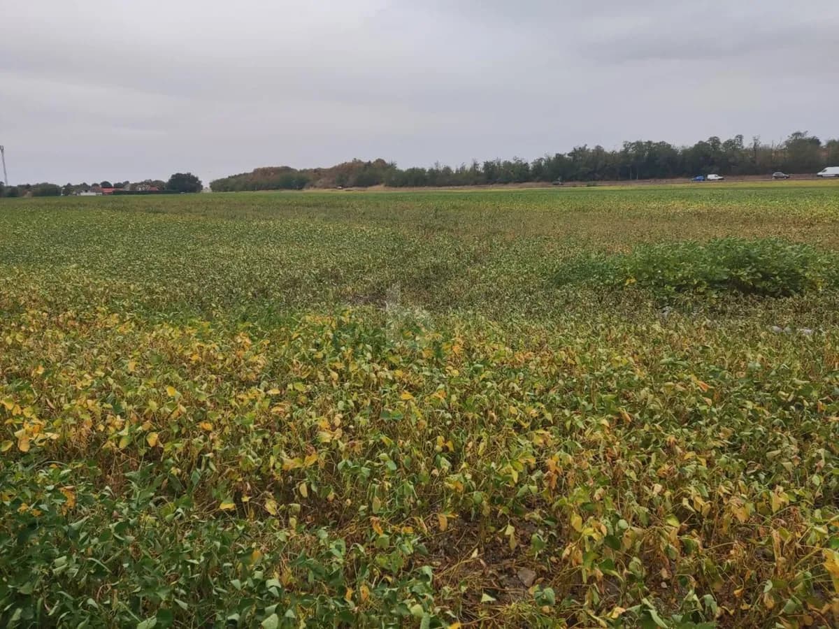 Grundstück kaufen in Gänserndorf – 46 249 m², € 750.000 – Bild 1 von 4