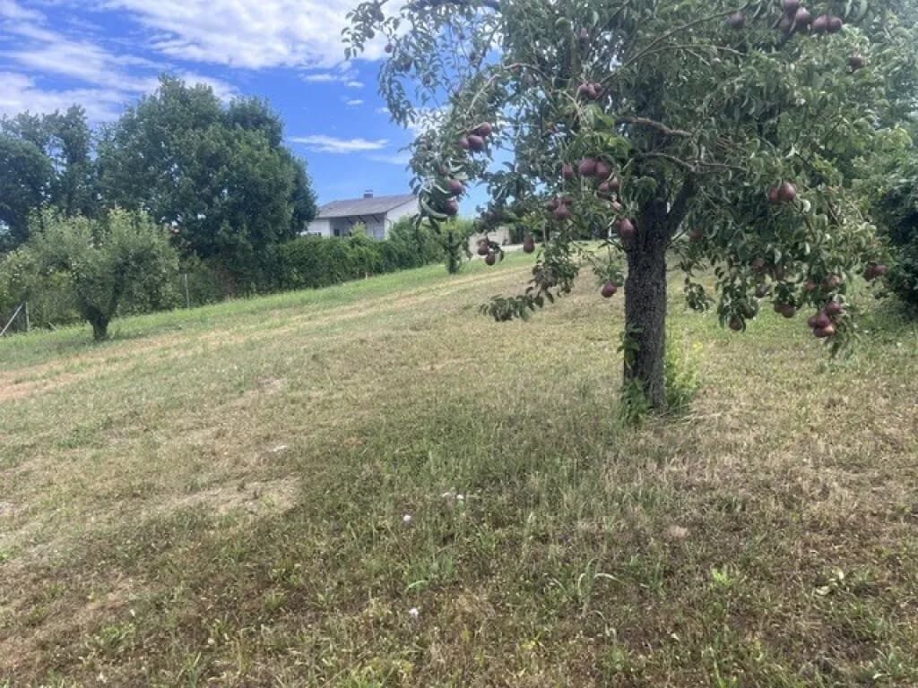 Grundstück kaufen in Mattersburg – 501 m², € 70.140 – Bild 2 von 7
