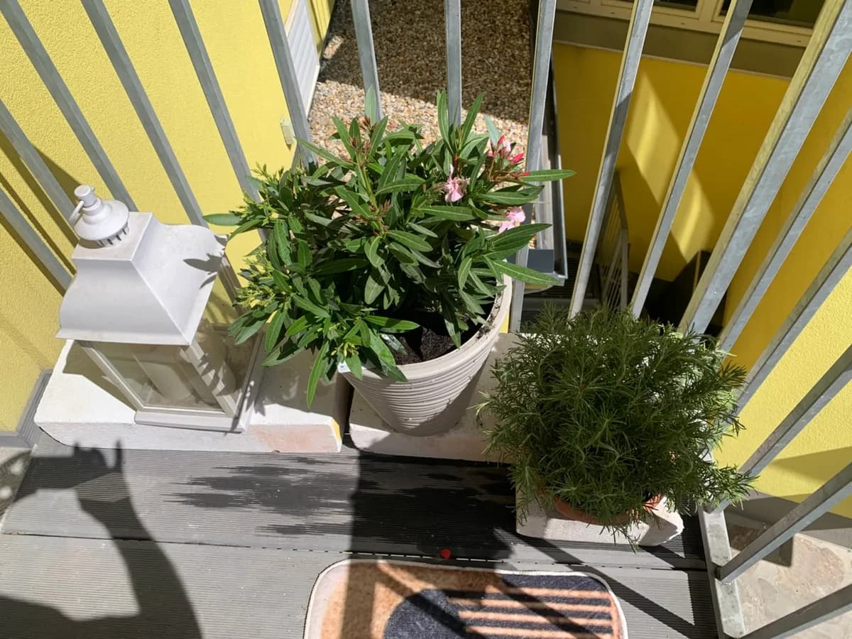 3-Zimmer-Wohnung kaufen in Graz – 87 m², € 229.000 – Bild 17 von 21
