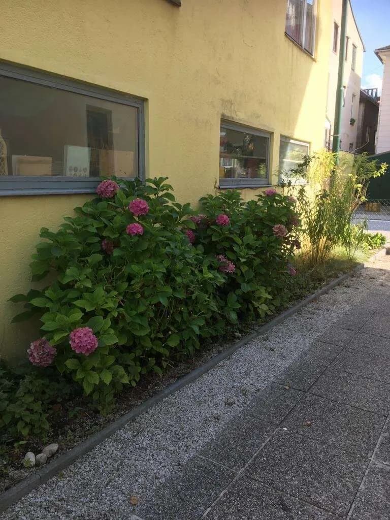 Gewerbeimmobilie kaufen in Gmunden – Bild 5 von 9