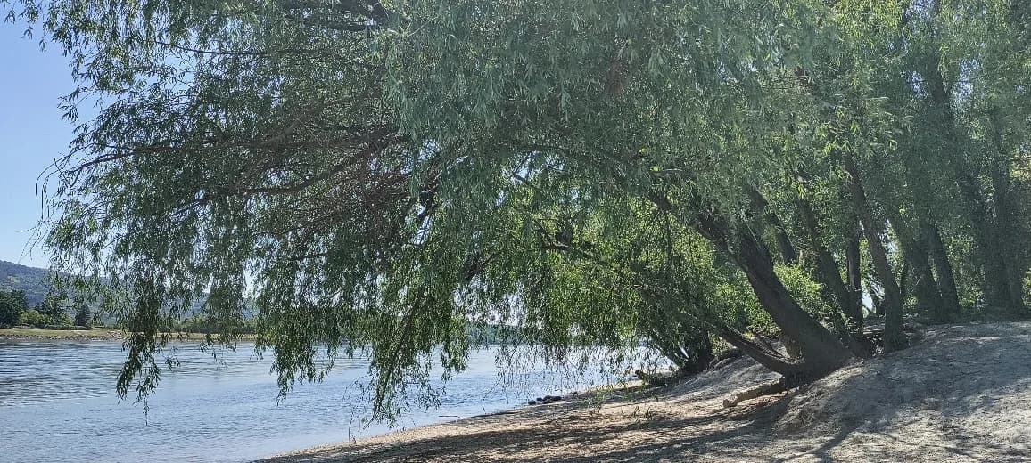 Immobilie kaufen in Tulln – 67 m², € 195.000 – Bild 16 von 17