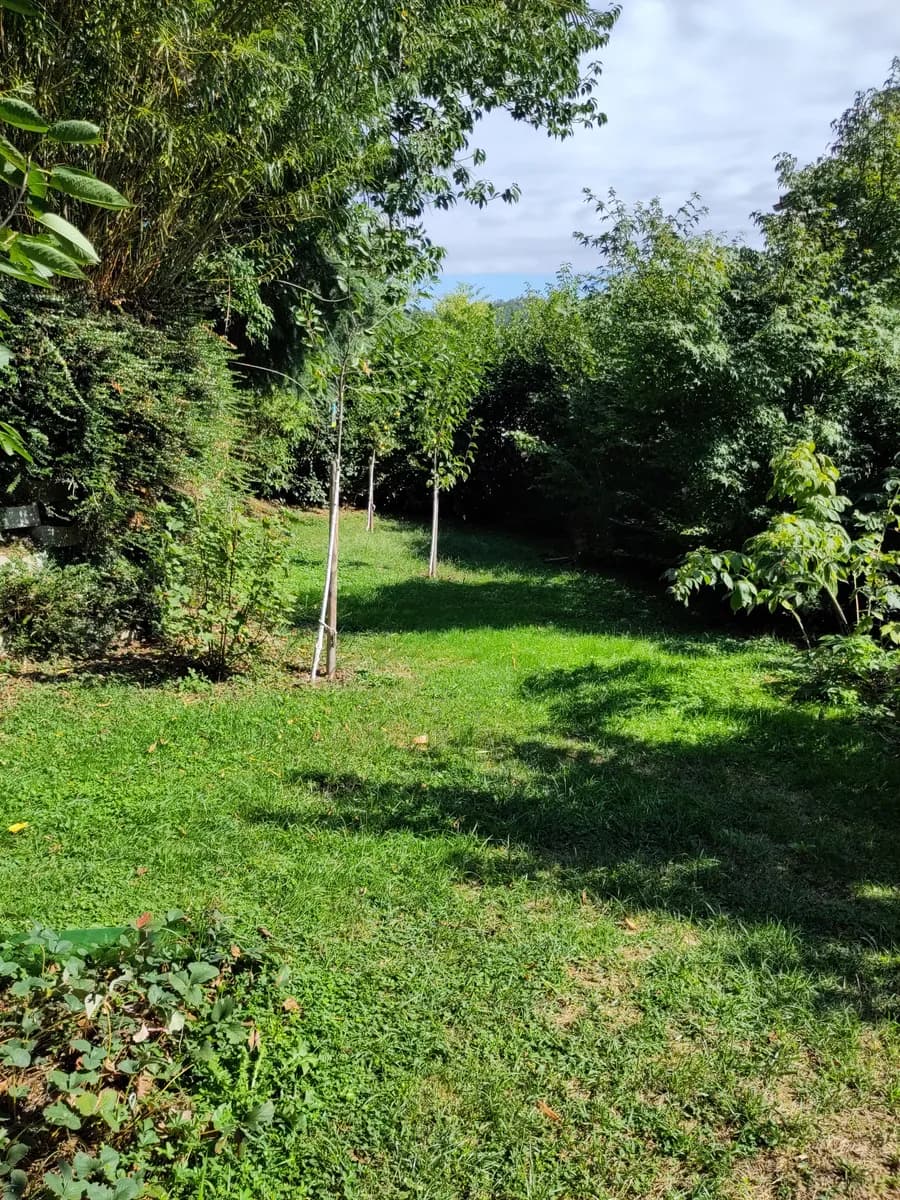 4-Zimmer-Wohnung mieten in Graz – 100 m², € 1.220 – Bild 11 von 11