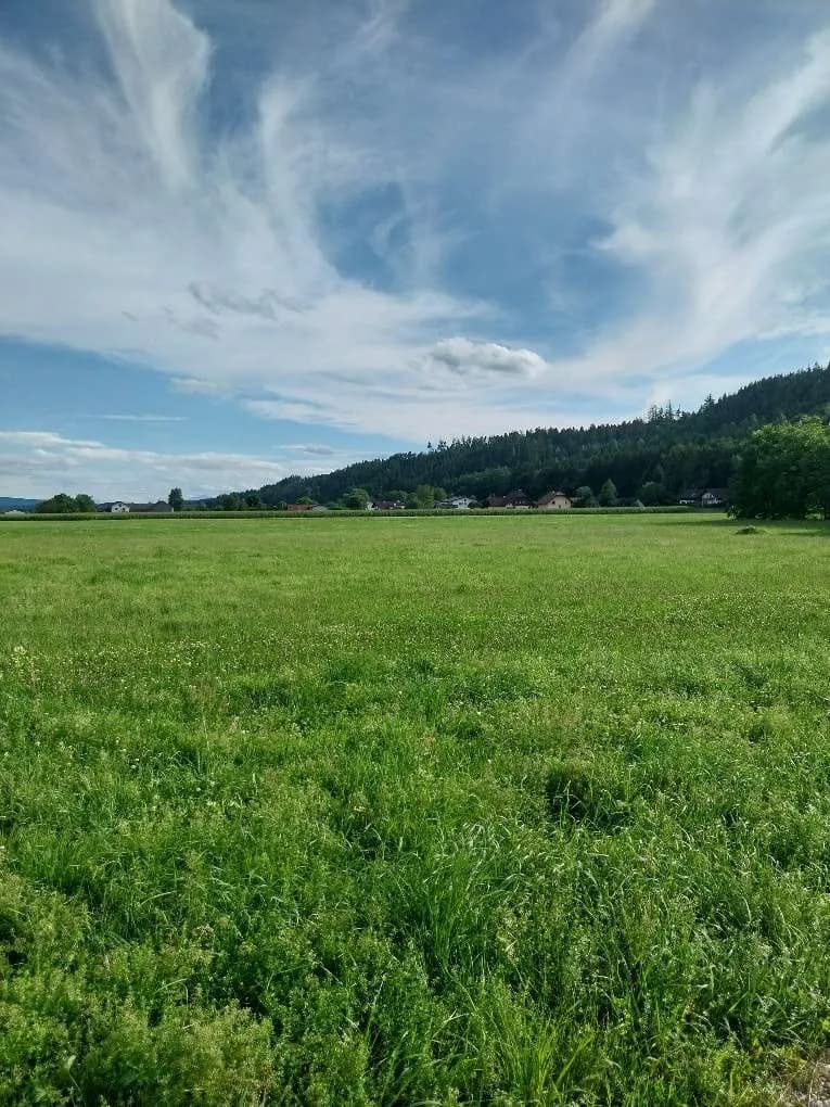 Grundstück kaufen in Braunau am Inn – 777 m², € 173.580 – Bild 2 von 7