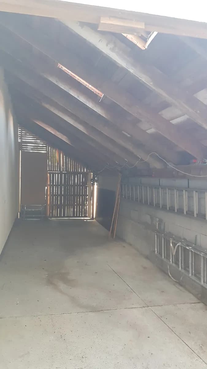 5-Zimmer-Haus mieten in Wien – 90 m², € 1.199 – Bild 34 von 35