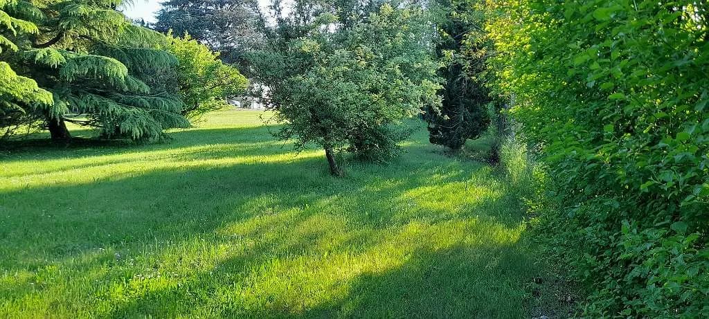 2-Zimmer-Haus mieten in Mattersburg – 40 m², € 650 – Bild 10 von 11