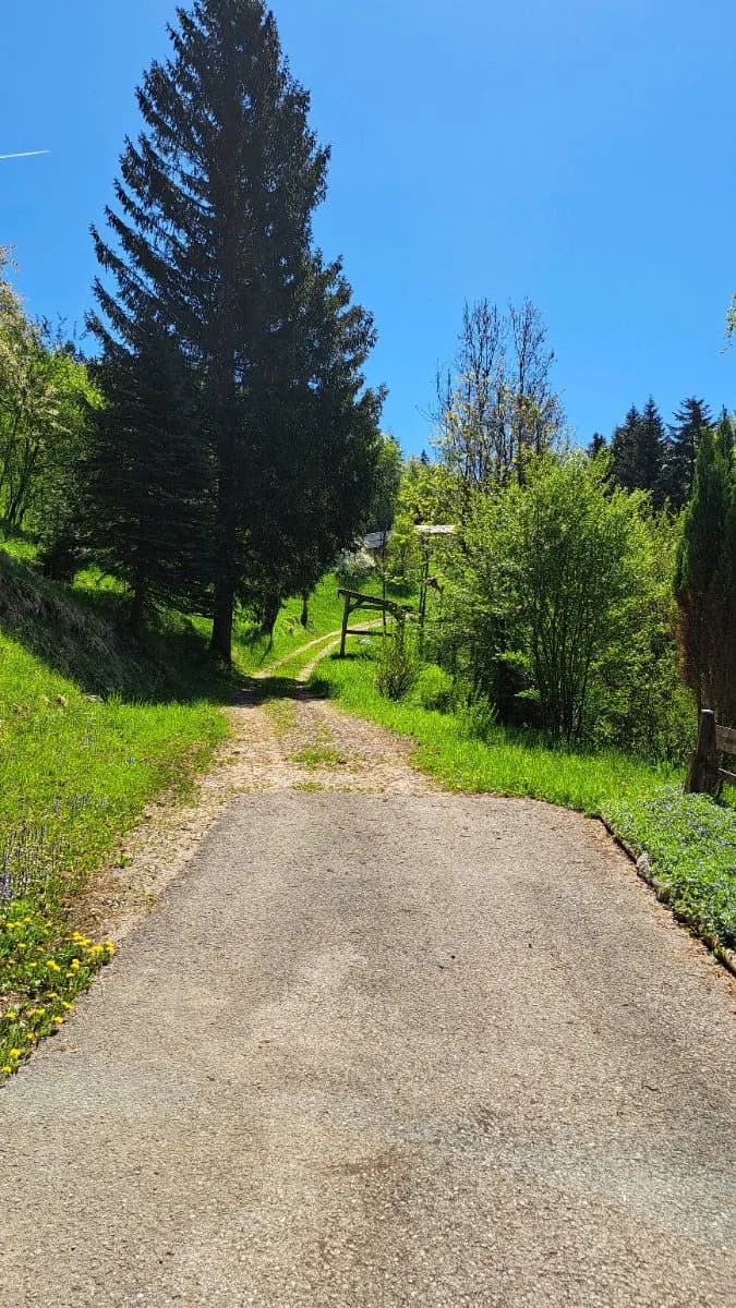 4-Zimmer-Haus kaufen in Gmunden – 100 m², € 430.000 – Bild 3 von 11