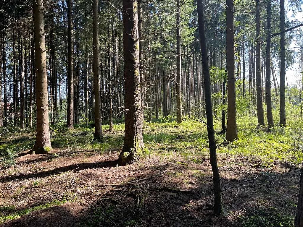 2-Zimmer-Immobilie mieten in Grieskirchen – 30 m², € 350 – Bild 13 von 13
