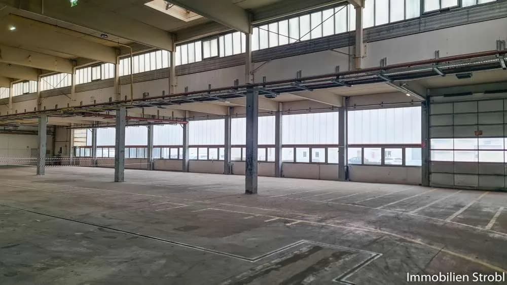 Gewerbeimmobilie mieten in Salzburg-Umgebung – 2 008 m², € 19.076 – Bild 3 von 4