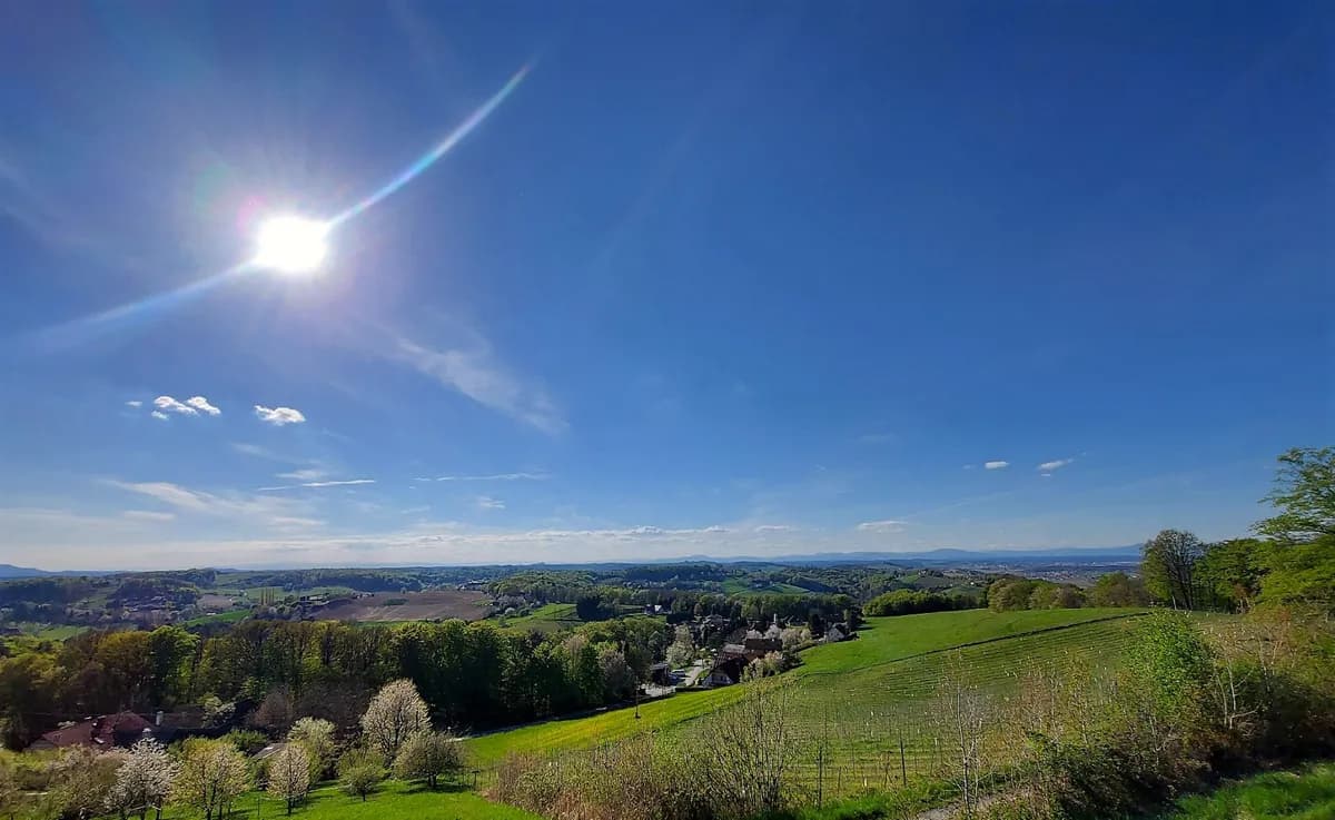 Grundstück kaufen in Jennersdorf – 12 478 m² – Bild 3 von 8