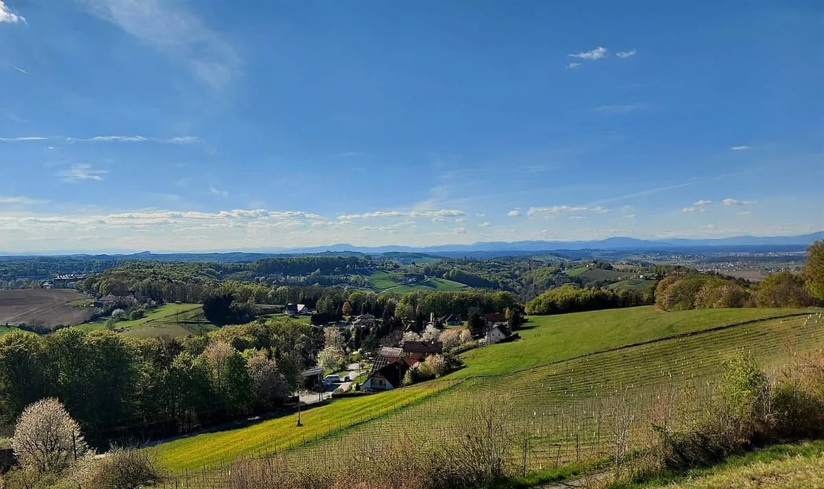 Grundstück kaufen in Jennersdorf – 12 478 m² – Bild 5 von 8