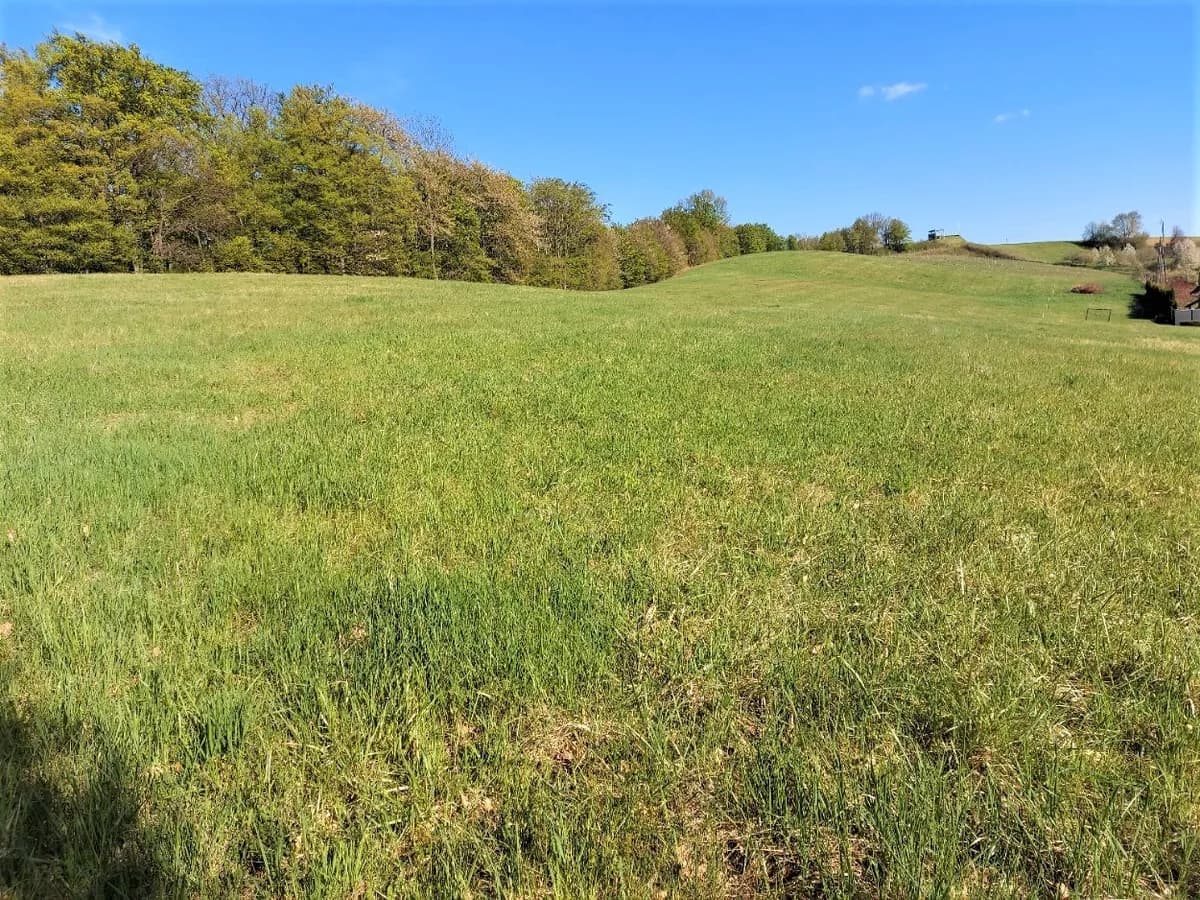 Grundstück kaufen in Jennersdorf – 12 478 m² – Bild 6 von 8