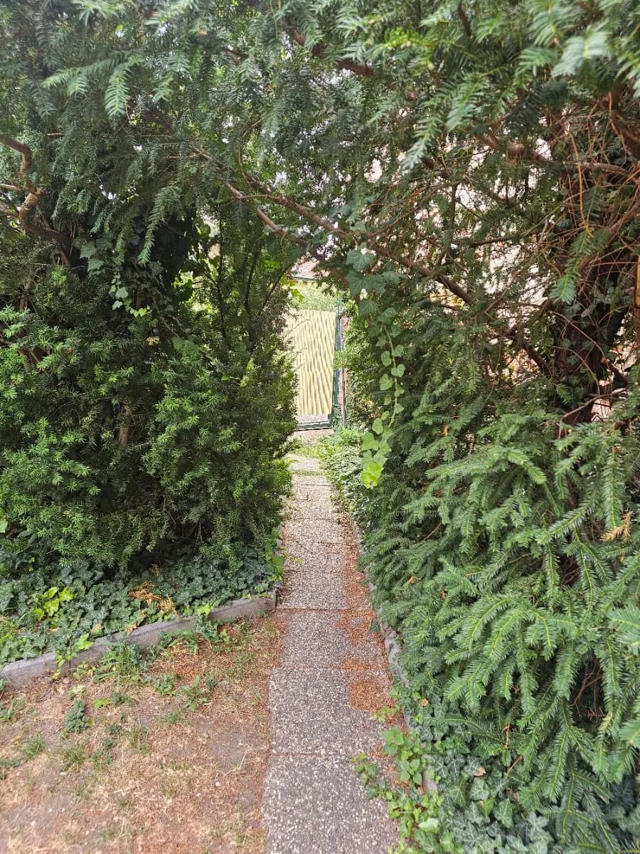Wohnung mieten in Baden – 50 m² – Bild 6 von 6