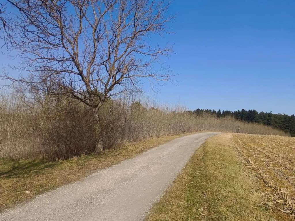 Grundstück kaufen in Oberwart – 14 583 m², € 29.000 – Bild 4 von 5