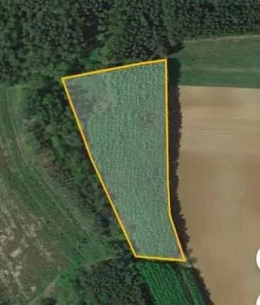 Grundstück kaufen in Oberwart – 14 583 m², € 29.000 – Bild 5 von 5