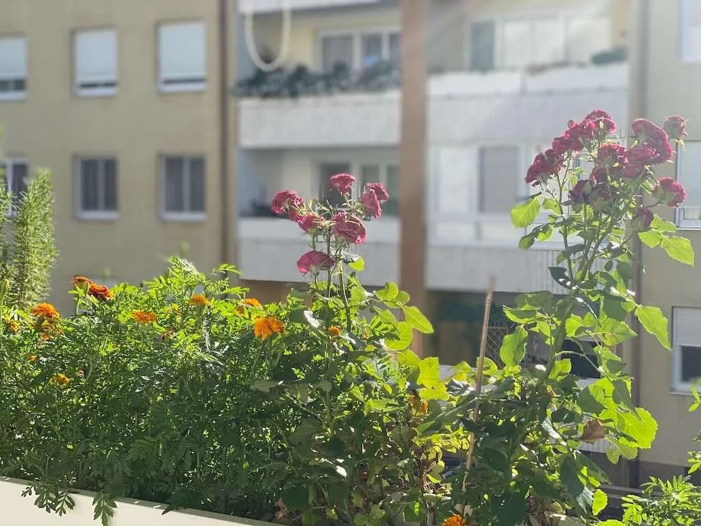 3-Zimmer-Wohnung mieten in Sankt Pölten Land – 79,8 m², € 838 – Bild 20 von 26