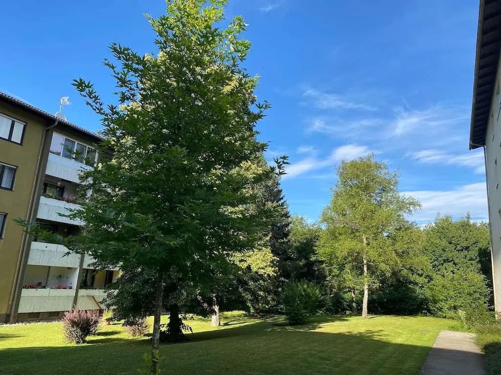 3-Zimmer-Wohnung mieten in Sankt Pölten Land – 79,8 m², € 838 – Bild 21 von 26