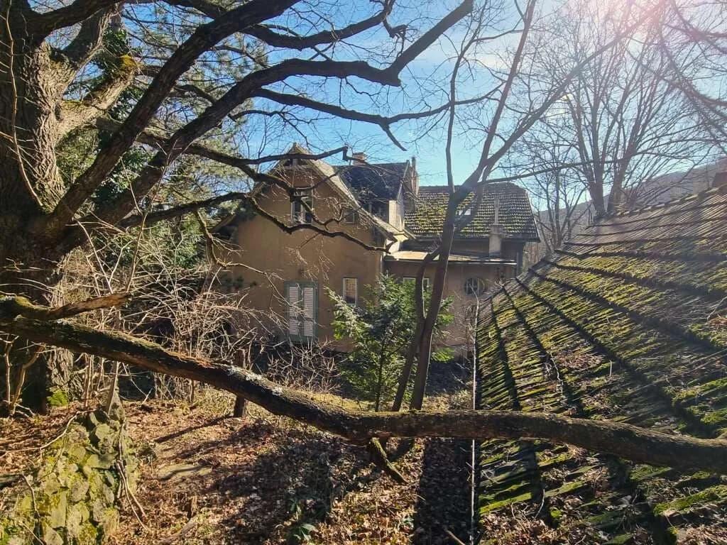 12-Zimmer-Immobilie kaufen in Mödling – 385 m², € 2.500.000 – Bild 15 von 32