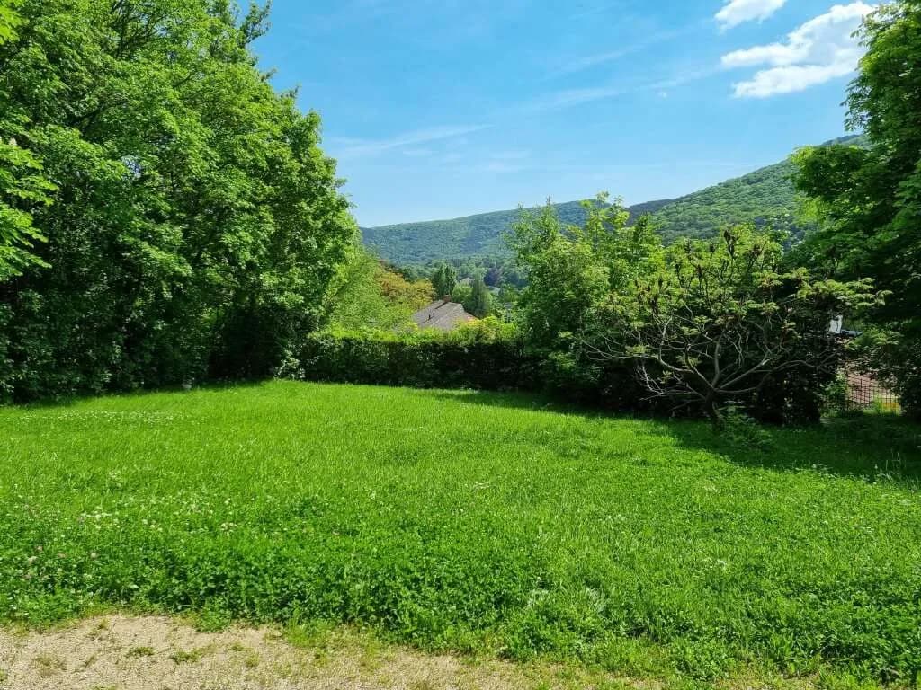 12-Zimmer-Immobilie kaufen in Mödling – 385 m², € 2.500.000 – Bild 24 von 32