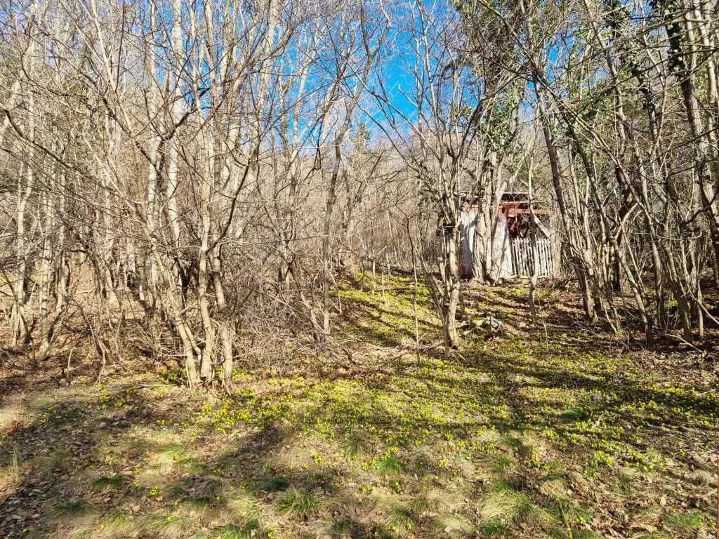 12-Zimmer-Immobilie kaufen in Mödling – 385 m², € 2.500.000 – Bild 26 von 32