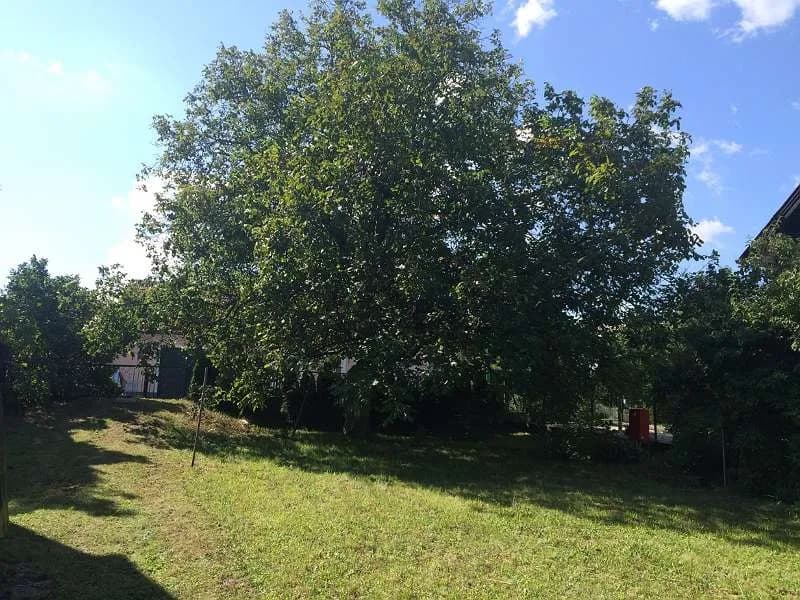 Grundstück kaufen in Mattersburg – 1 225 m², € 179.000