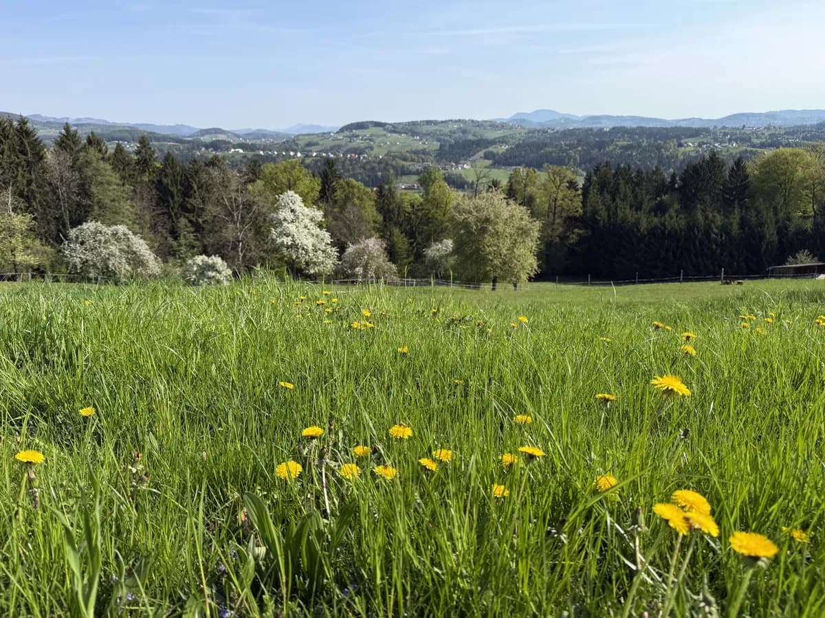 3-Zimmer-Haus mieten in Voitsberg – 75 m², € 1.150 – Bild 6 von 17