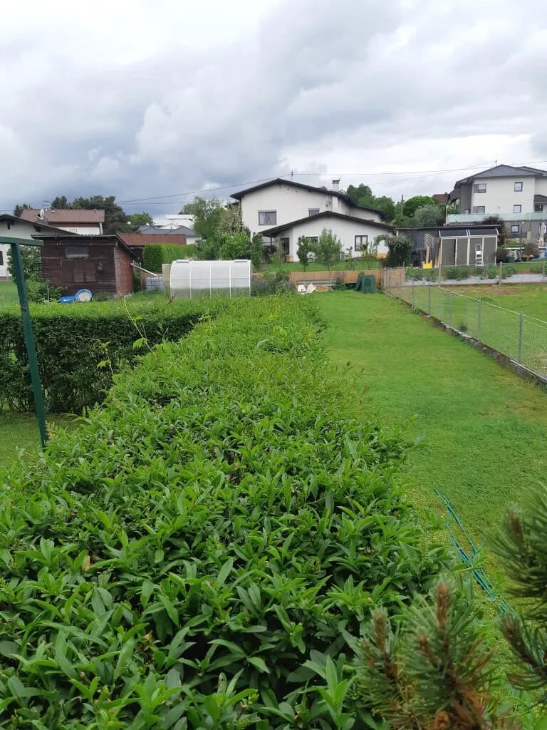 7-Zimmer-Haus kaufen in Steyr-Land – 130 m², € 379.000 – Bild 12 von 18