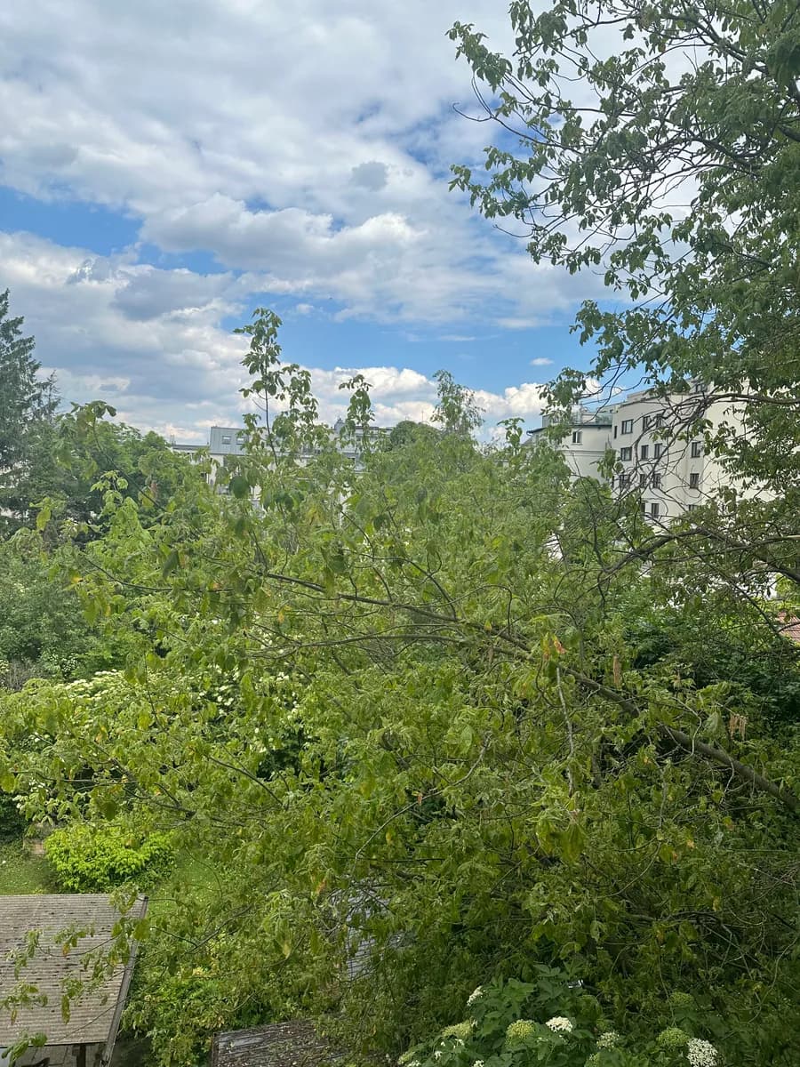 Wohnung kaufen in Wien – 51 m², € 199.000 – Bild 5 von 8