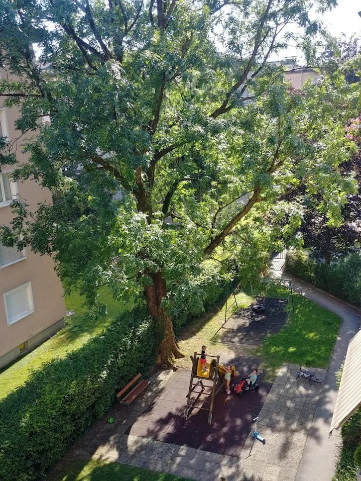 3-Zimmer-Wohnung mieten in Salzburg Stadt – 75 m², € 1.380 – Bild 7 von 8