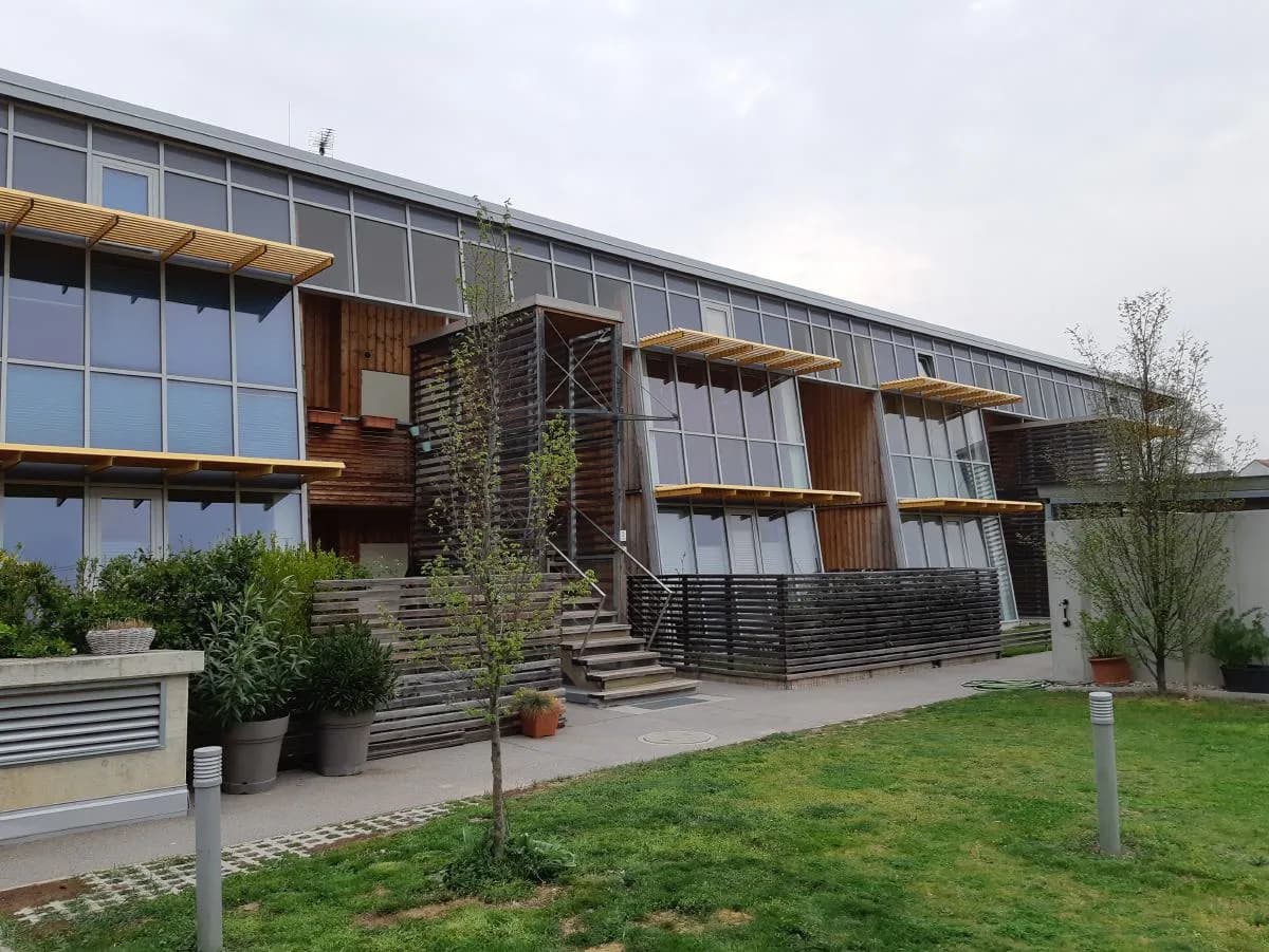 2-Zimmer-Wohnung mieten in Gänserndorf – 68 m², € 817