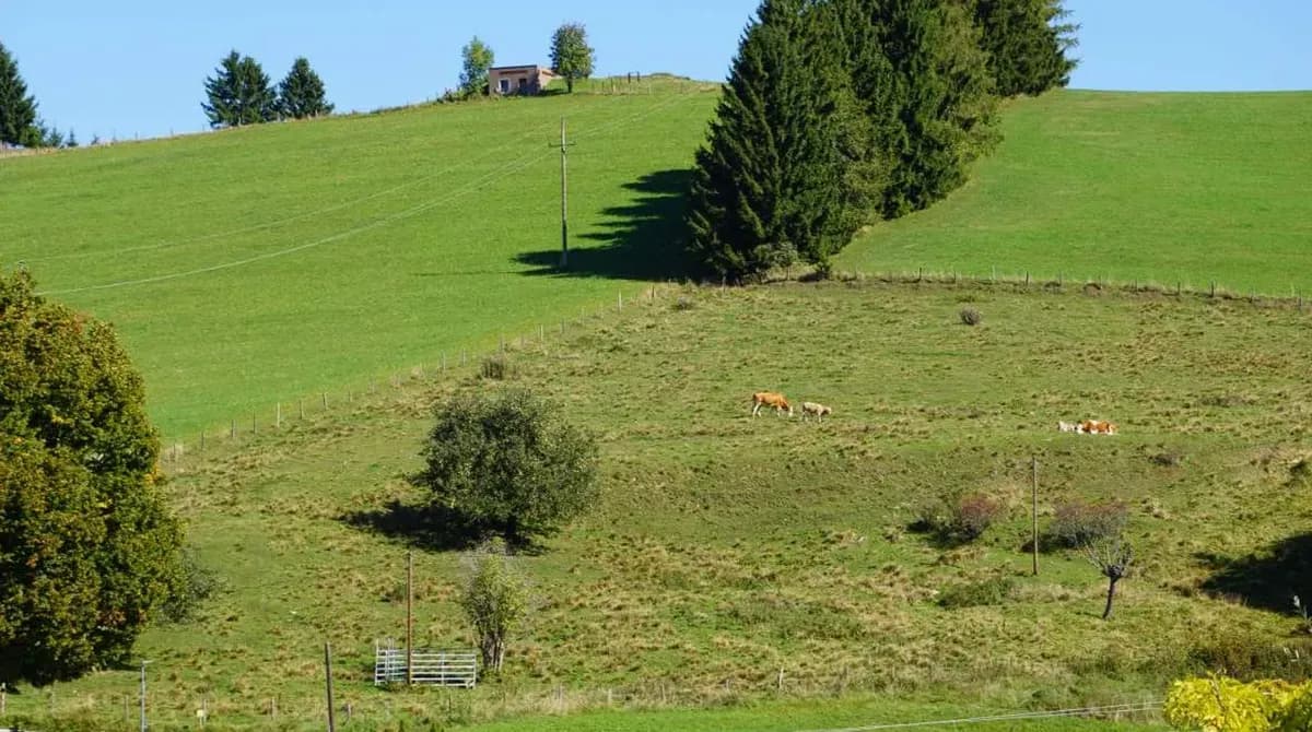 4-Zimmer-Haus kaufen in Sankt Veit an der Glan – 103 m², € 145.000 – Bild 15 von 24
