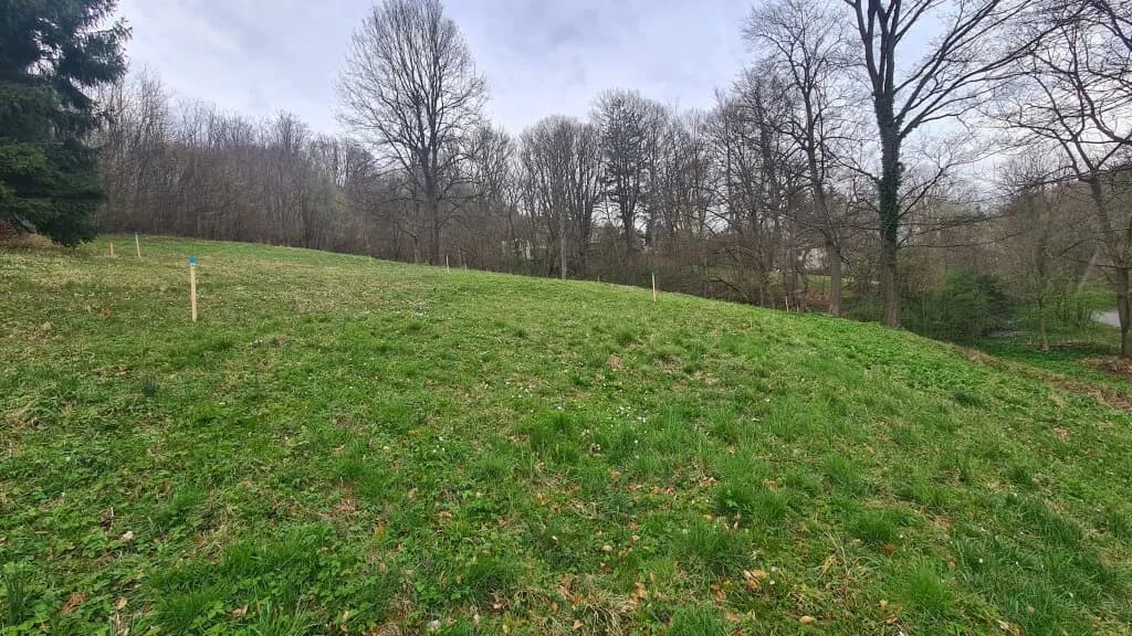 Grundstück kaufen in Wien – 5 158 m², € 890.000 – Bild 6 von 6
