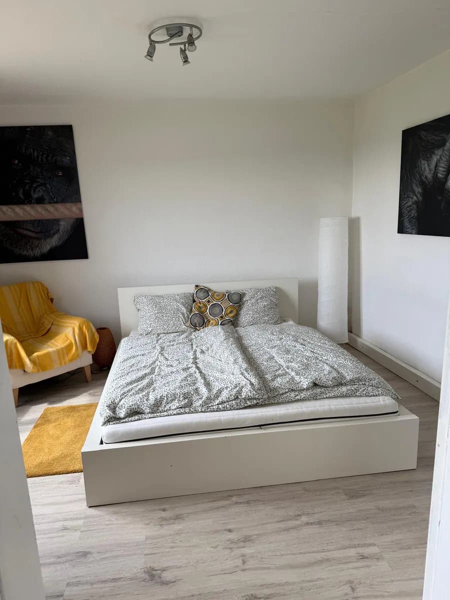 8-Zimmer-Haus mieten in Rohrbach – 240 m², € 1.500 – Bild 13 von 18