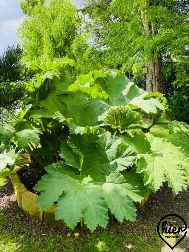 Haus kaufen in Graz-Umgebung – 505 m², € 2.200.000 – Bild 46 von 52