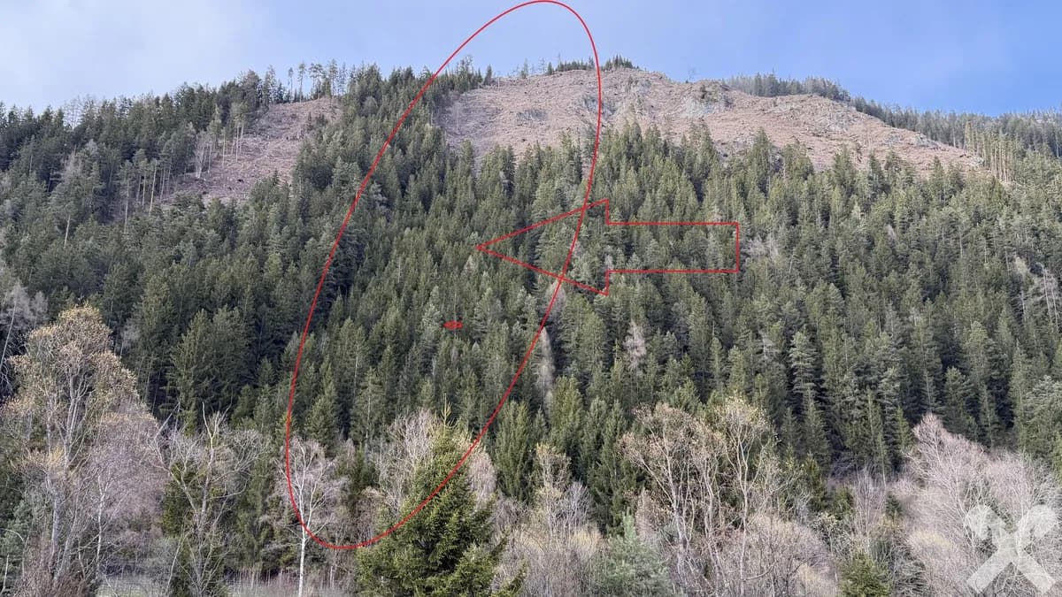 Grundstück kaufen in Murau – 49 058 m², € 44.000