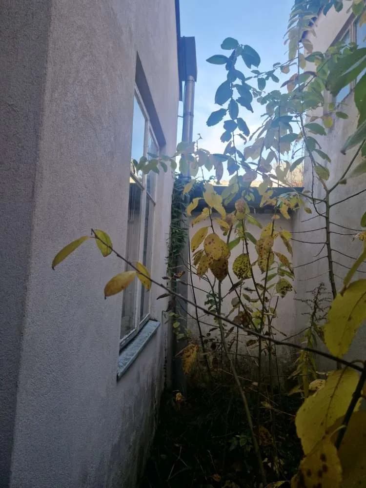 Immobilie kaufen in Waidhofen an der Thaya – 100 m², € 139.000 – Bild 10 von 11