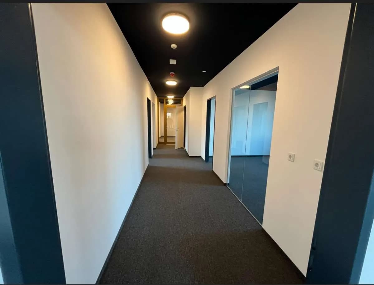 Immobilie mieten in Baden – 12 500 m² – Bild 7 von 11