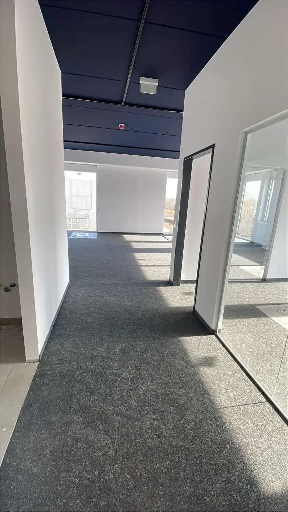 Immobilie mieten in Baden – 12 500 m² – Bild 8 von 11