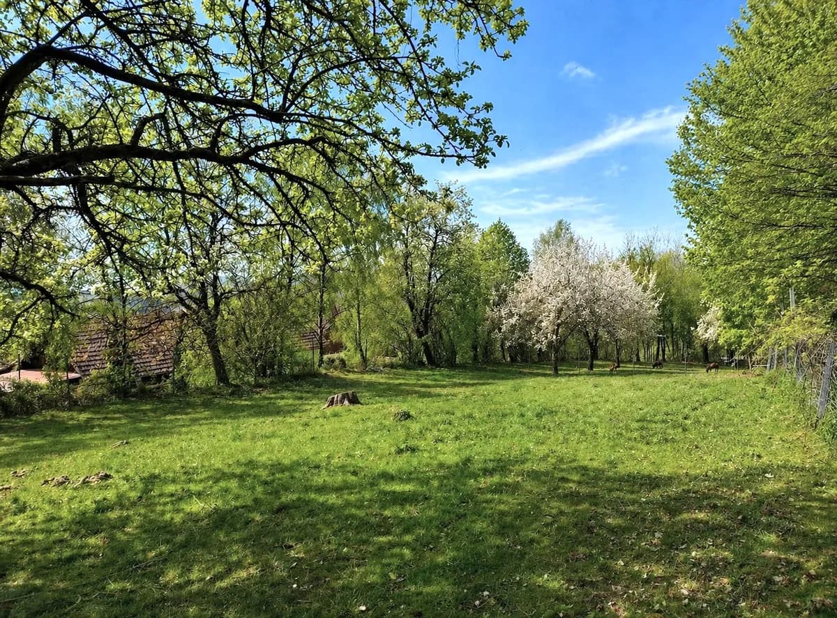7-Zimmer-Immobilie kaufen in Wiener Neustadt Land – 238 m², € 445.000 – Bild 16 von 34