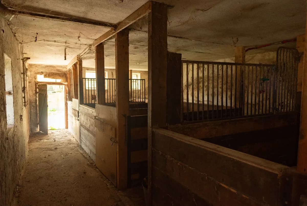 7-Zimmer-Immobilie kaufen in Wiener Neustadt Land – 238 m², € 445.000 – Bild 27 von 34