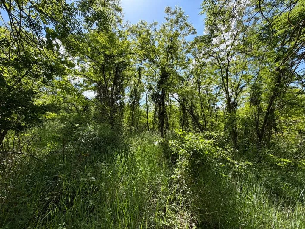 Immobilie kaufen in Hollabrunn – 2 593 m², € 5.650 – Bild 7 von 11