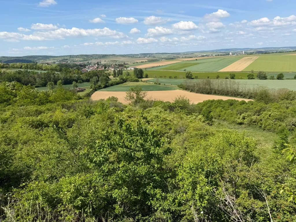 Immobilie kaufen in Hollabrunn – 2 593 m², € 5.650 – Bild 8 von 11