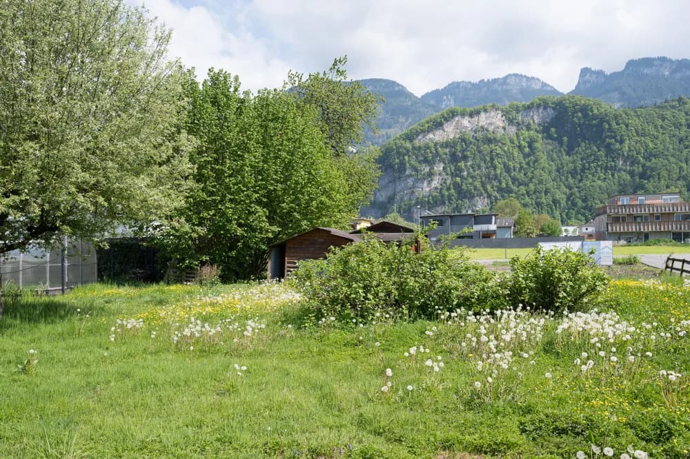 Grundstück kaufen in Dornbirn – 565 m², € 311.000 – Bild 2 von 5