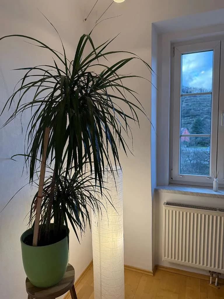 4-Zimmer-Wohnung mieten in Krems an der Donau – 64 m², € 1.300 – Bild 9 von 23