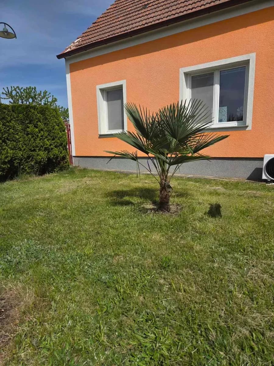 3-Zimmer-Haus kaufen in Horn – 80 m², € 169.000 – Bild 28 von 41