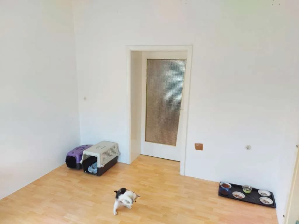 Haus kaufen in Mattersburg – 90 m², € 335.000 – Bild 17 von 33