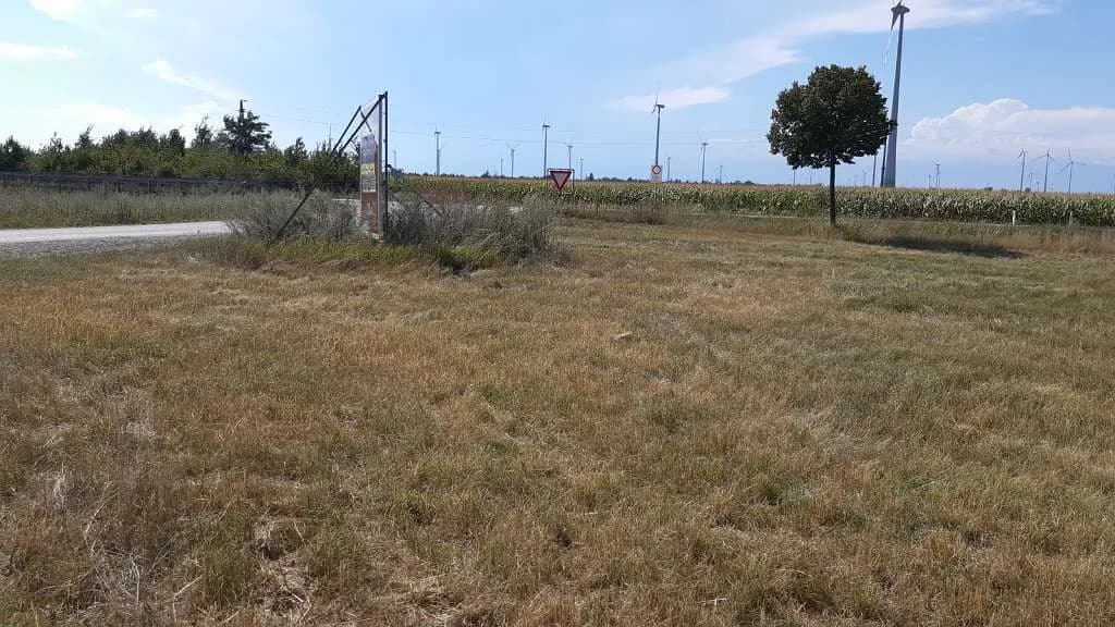 Immobilie mieten in Neusiedl am See – 4 766 m² – Bild 3 von 4