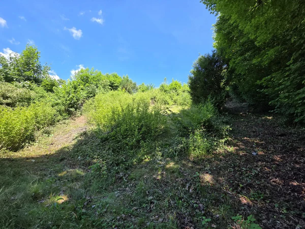Grundstück kaufen in Gmunden – 904 m², € 813.600 – Bild 6 von 7