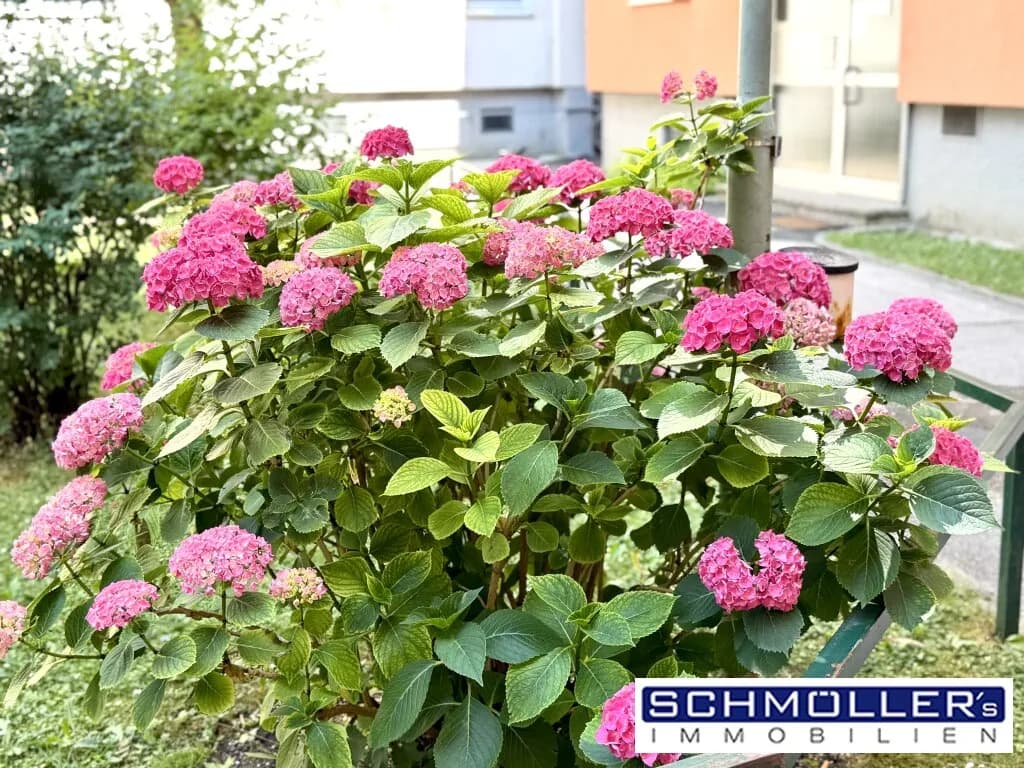 2-Zimmer-Wohnung kaufen in Wels – 75 m², € 238.000 – Bild 24 von 25
