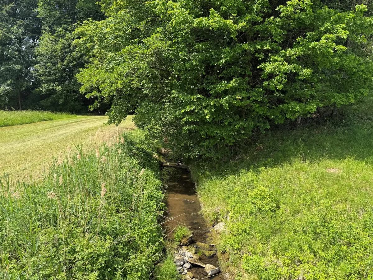 4-Zimmer-Haus kaufen in Salzburg-Umgebung – 160 m², € 540.000 – Bild 6 von 10